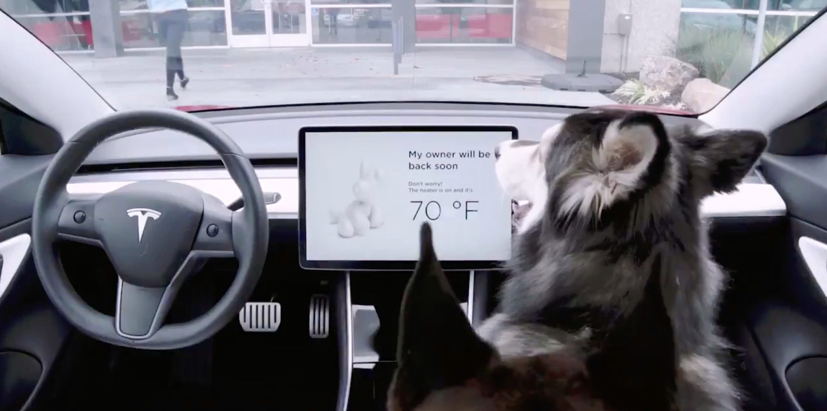 El "modo perro" de Tesla está disponible en el Model 3